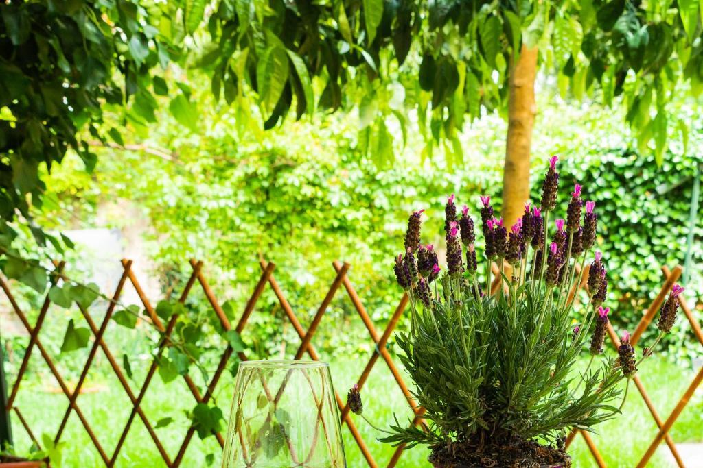 Marylou Gardenhouse Διαμέρισμα Πίζα Εξωτερικό φωτογραφία
